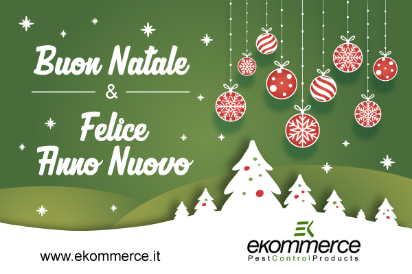 newsletter natale 2018 ekommerce