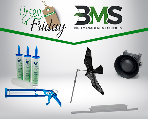 Promo Green Friday aprile 2019