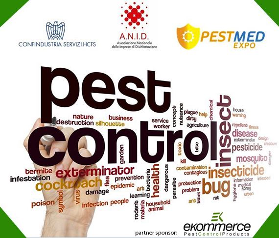 webinar 4 giugno
