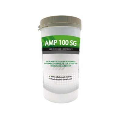 amp 100