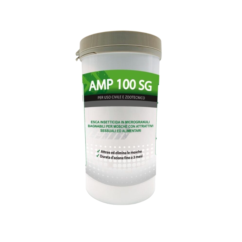 amp 100