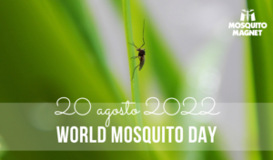 World Mosquito Day