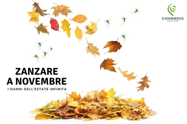 estate novembre zanzare