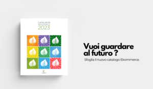 catalogo professionale 2023