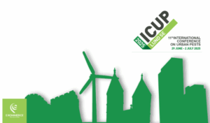 icup