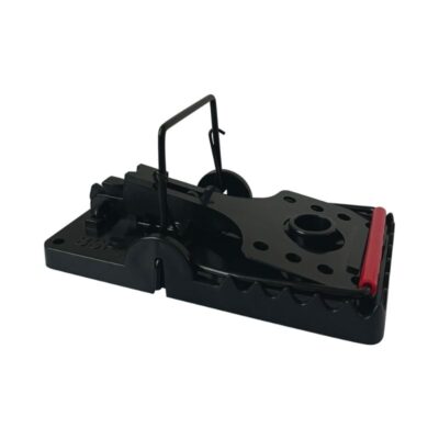 Black Snap Power Ratti
